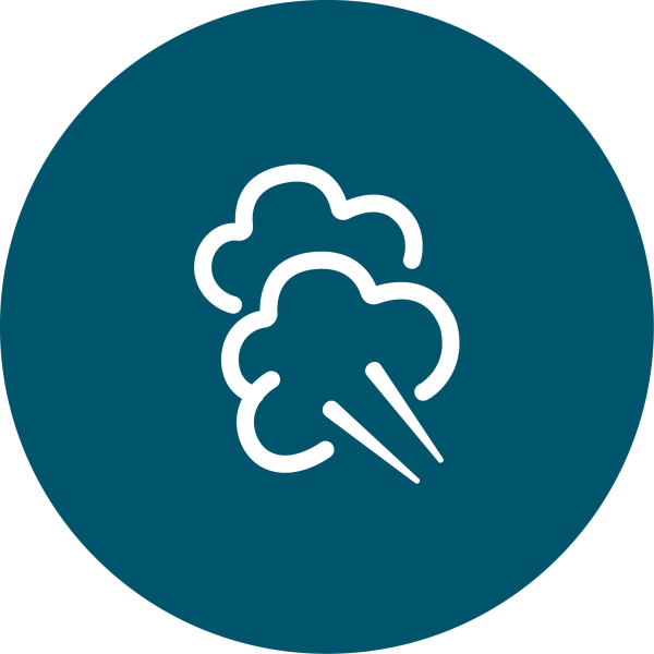 شستشو با بخار